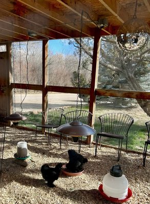 Ojo Santa Fe Spa Resort by null