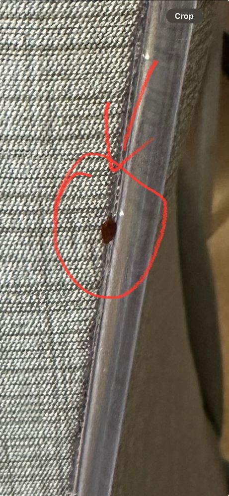 Northeast Methodist Hospital - patient advocate in Live Oak, TX