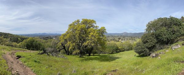Skyline Wilderness Park by null