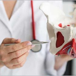 The Spine & Health Center of New Jersey - Park Ridge, NJ