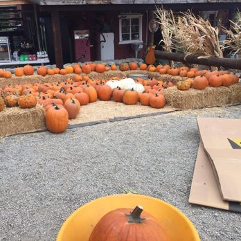 Greenspot Farm - Pumpkins - Farmers Market Near Me - Mentone, California Greenspot Farm - Pumpkins - Farmers Market Near Me - Mentone, California