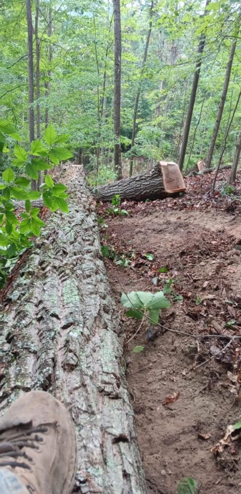 Rucker Logging and Excavation - tree service in Elkview, WV