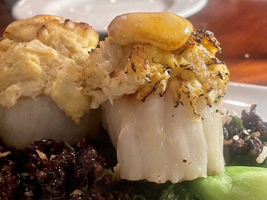 Ella's Food & Drink by null