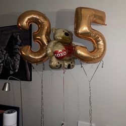 Balloon City of Boston