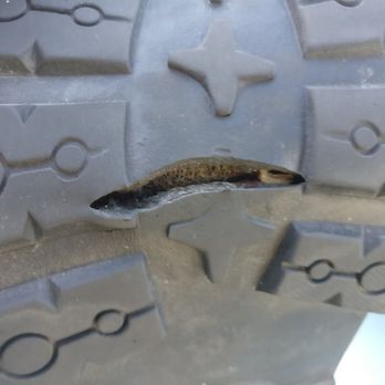 L.L. Bean - Other failed sole - Outdoor Gear Near Me - Freeport, Maine