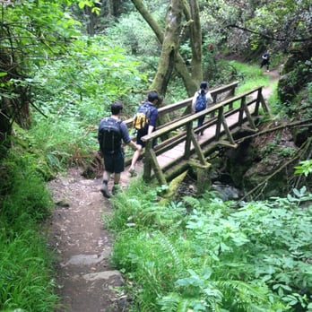 Matt Davis-Steep Ravine Loop - Hiking Near Me - Stinson Beach, California Matt Davis-Steep Ravine Loop - Hiking Near Me - Stinson Beach, California