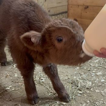 Picture Perfect Ranch - Attraction Farms Near Me - Lancaster, Ohio