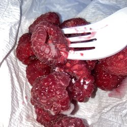 Bagel Cafe & Bakery - Moldy raspberry