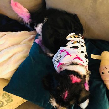 PetSmart - Pet Training Near Me - Annapolis, Maryland