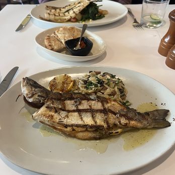 Pylos - Wine Bars Near Me - San Carlos, California Pylos - Wine Bars Near Me - San Carlos, California