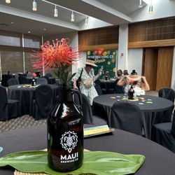 Maui Brewers Festival