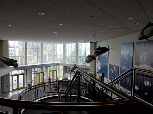 Alaska SeaLife Center by null