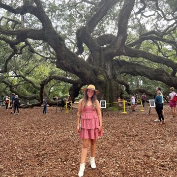 Angel Oak - Parks Near Me - Johns Island, South Carolina