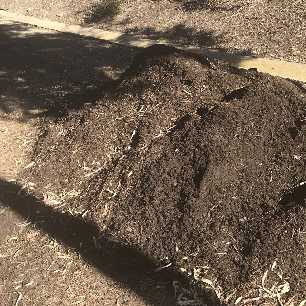 Park West - a pile of composted composted composted composted composted composted compost - Landscaping Near Me - Rancho Santa Margarita, California Park West - a pile of composted composted composted composted composted composted compost - Landscaping Near Me - Rancho Santa Margarita, California