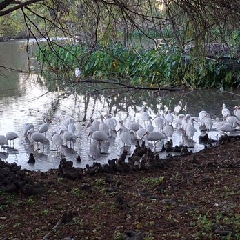 Lafreniere Park - Parks Near Me - Metairie, Louisiana