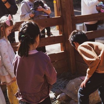 Reptacular Animals - Party & Event Planning Near Me - Sun Valley, California Reptacular Animals - Party & Event Planning Near Me - Sun Valley, California