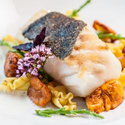 Fischers Fritz - Fish dish