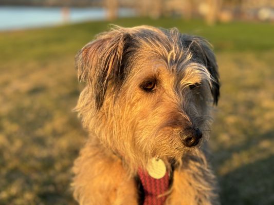 Mission Bay Park by null