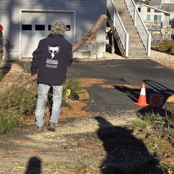 Delmarva Arborists