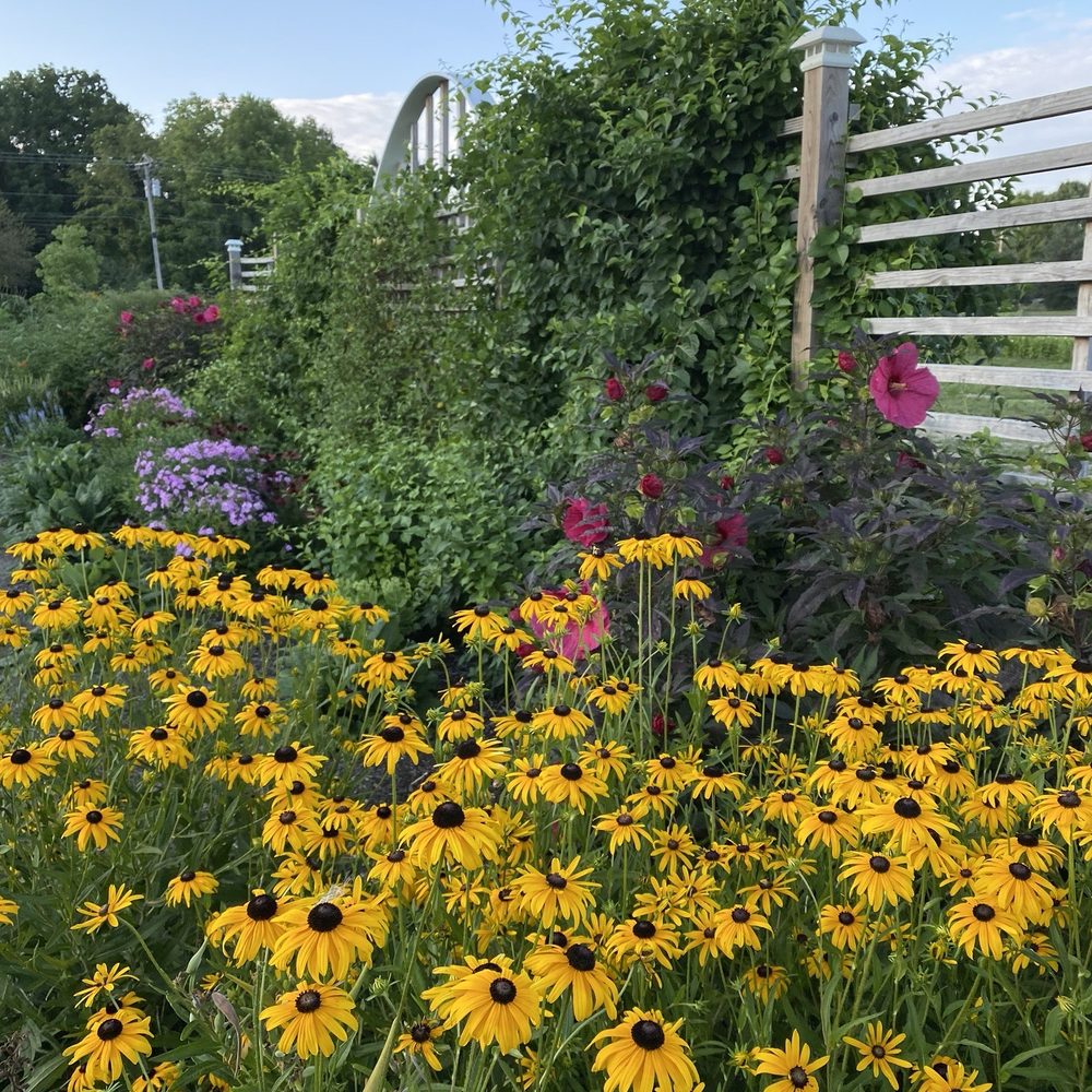 Avon Gardens - Landscaping Near Me - Avon, Indiana