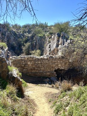 Honey Bee Canyon by null