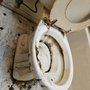 Photo of Rubi's Cleaning