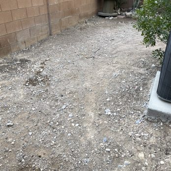 Desert Tree Landscape - Bare and pup dug through whatever she could. - Landscaping Near Me