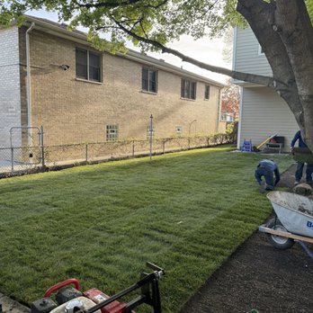 Dante's Native Landscape Services - Landscaping Near Me
