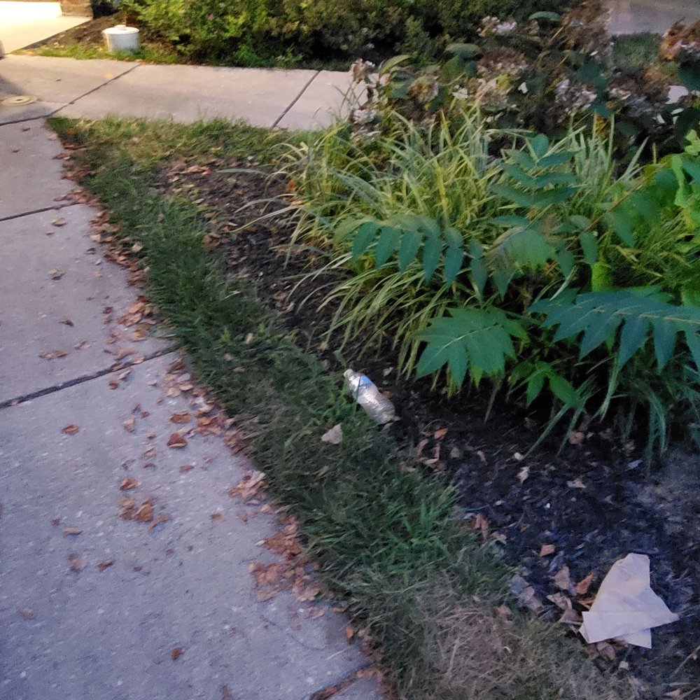 Focus Movers - Movers Near Me - Baltimore, Maryland