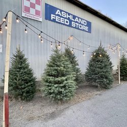 Ashland Feed Store