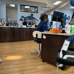 Webster Orthodontics - Nice and open treatment area. Always clean and gives a fun vibe.