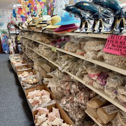 Marlene's Sea Shell City - Seashells galore