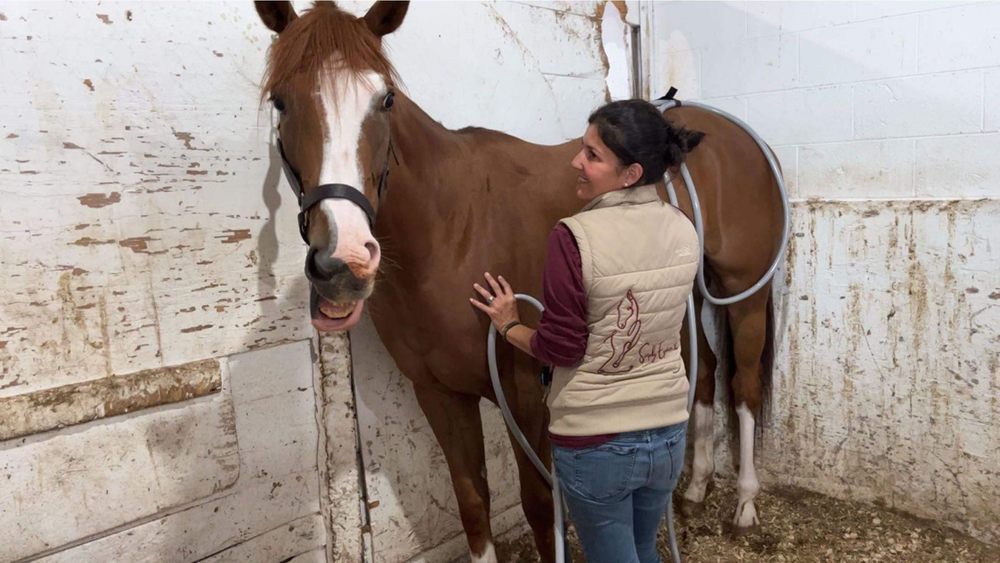 Social spots from Simply Equine