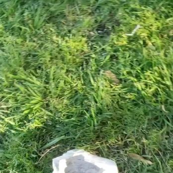 Badger Creek Kennels - Screen grab form video. Bandage? what was it? No response. - Pet Sitting Near Me - Wilton, California Badger Creek Kennels - Screen grab form video. Bandage? what was it? No response. - Pet Sitting Near Me - Wilton, California