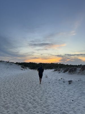 Cape Henlopen State Park by null