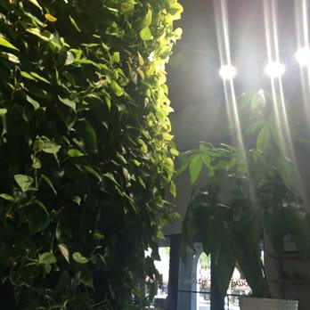 grown - Organic Stores Near Me - Miami, Florida
