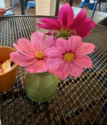 Among the Flowers Cafe by null