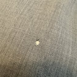 Indochino - Hole in pant leg