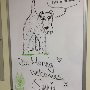 river road animal hospital hours