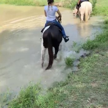 Loveland Ranch - Horseback Riding Near Me - Conroe, Texas