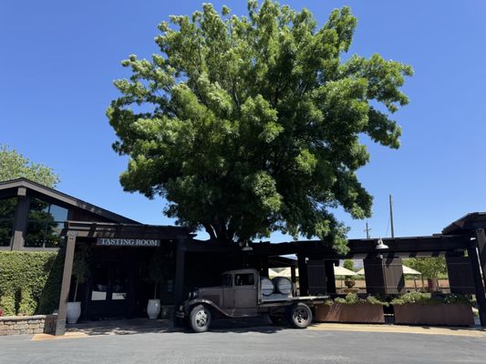 Wooden Valley Winery by null