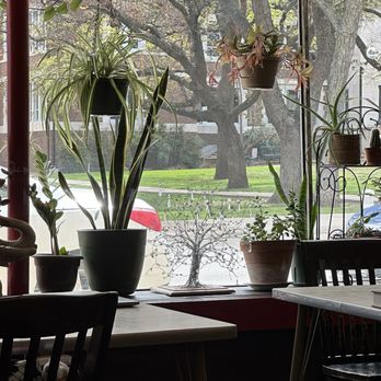 Aura Coffee - Coffee & Tea Near Me - Denton, Texas