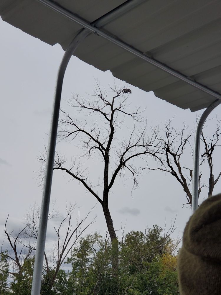 BLUE HERON BOAT TOURS & CANOE RENTAL Updated September 2024 27