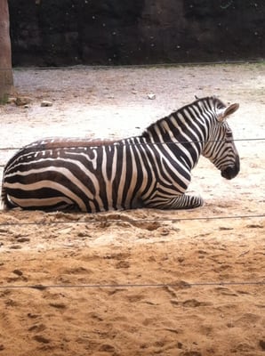 The Law Office of Charles L Moffatt