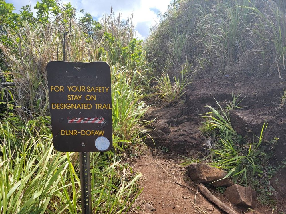 NOUNOU TRAIL 114 Photos & 39 Reviews Haleilio Rd, Kapaa, HI Yelp