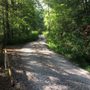 Photo of Piney Knob Trails