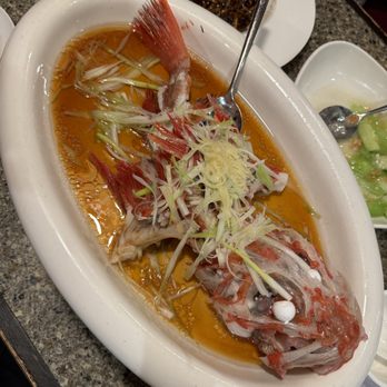 Shanghailander Palace - Red Grouper - Asian Fusion Near Me - Hacienda Heights, California Shanghailander Palace - Red Grouper - Asian Fusion Near Me - Hacienda Heights, California