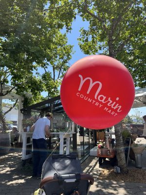Marin Country Mart by null