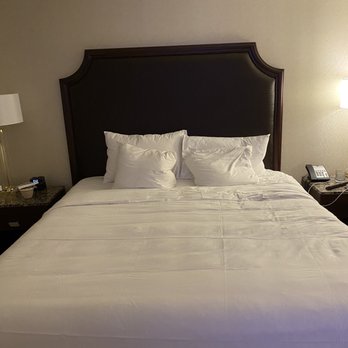 Hyatt Regency Lexington - King bed - Hotels Near Me - Lexington, Kentucky