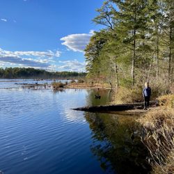 Wharton State Forest - Goshen Pond.